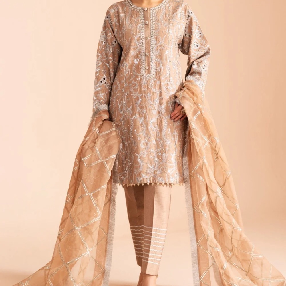 Embroidered Tan and Silver Outfit - Picture 2 of 3